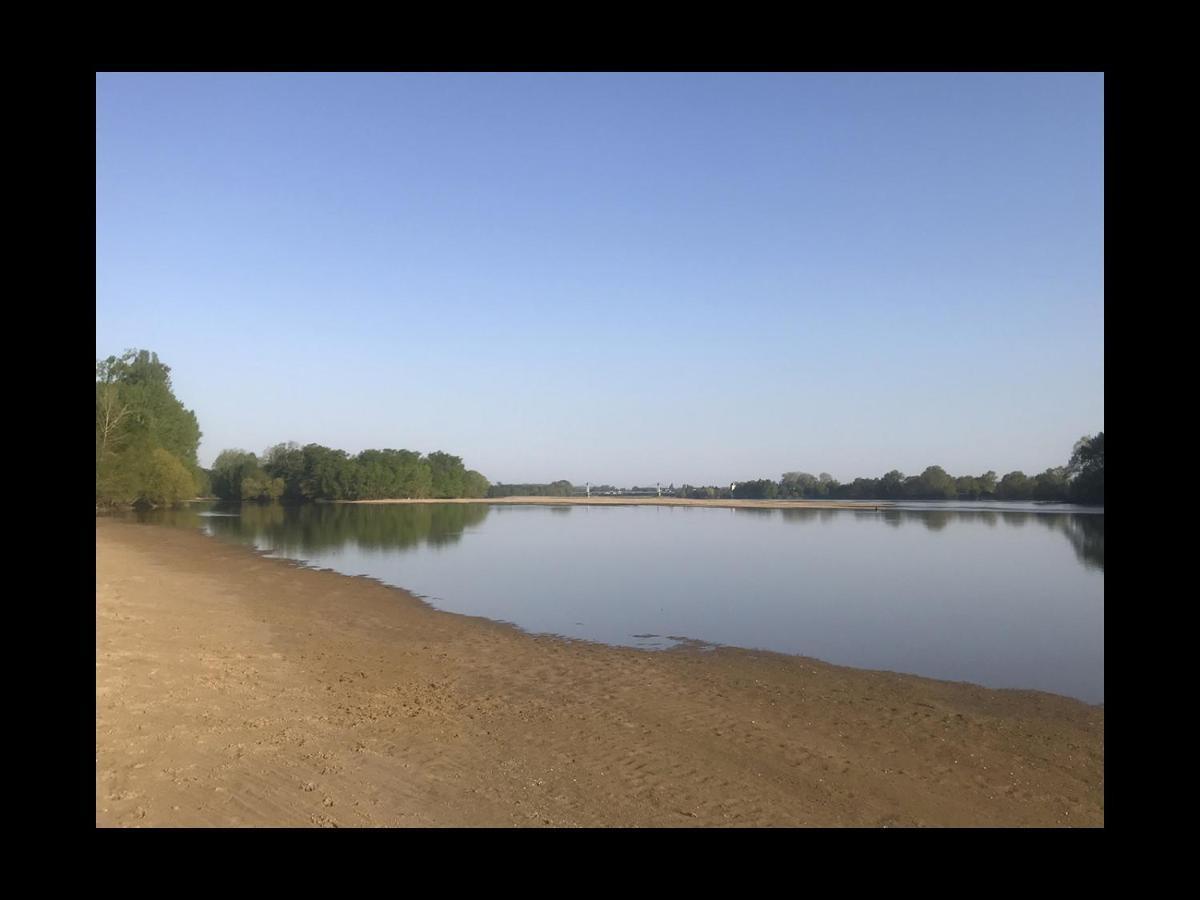 Une Nuit Sur Loire Treves-Cunault Εξωτερικό φωτογραφία